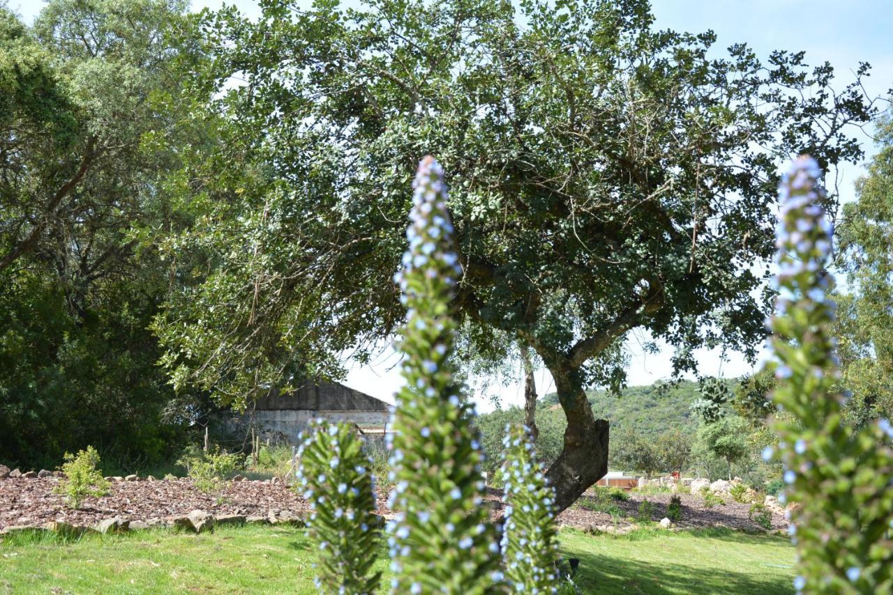 Villa Quinta Do Freixo à Benafim Extérieur photo